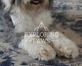 Load image into Gallery viewer, Calm & Courage Paws Pack