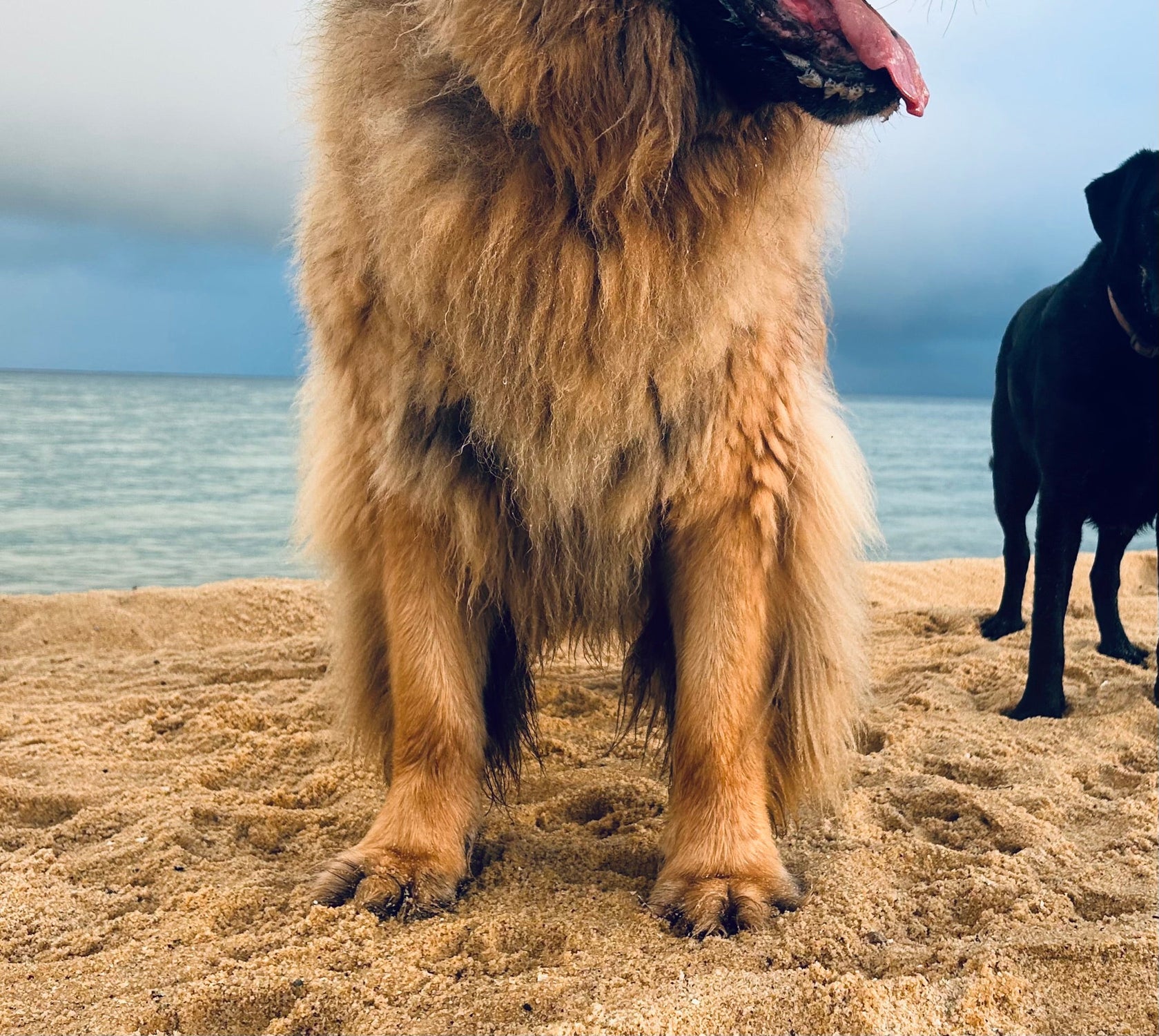 Curated Monthly Cookie Boxes