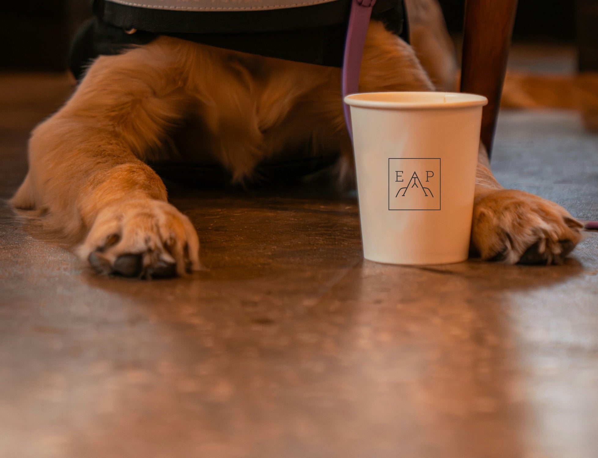 Doggo-Chino Cafe Cookies