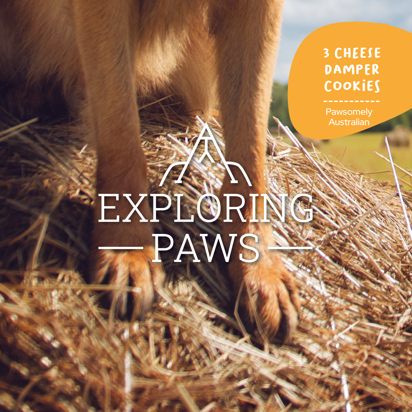 3 Cheese Damper Doggo-Chino Cafe Cookie