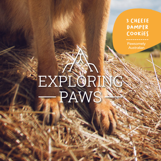 3 Cheese Damper Doggo-Chino Cafe Cookie