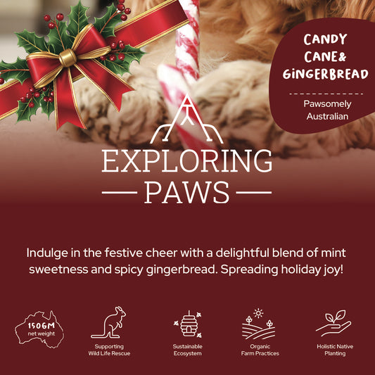 Limited Edition Christmas Candy Cane & Gingerbread Rustic Cookies