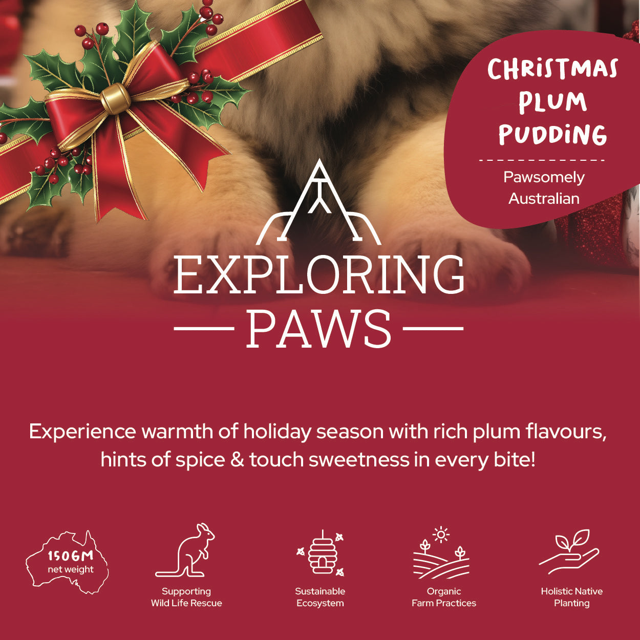 Limited Edition Christmas Plum Pudding Rustic Cookies