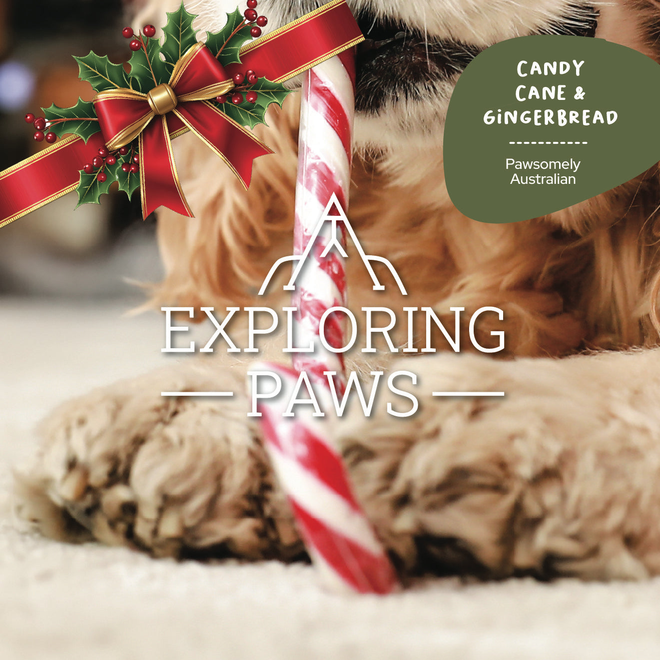 Limited-Edition Christmas Candy Cane & Gingerbread Doggo-Chino Cafe Cookie