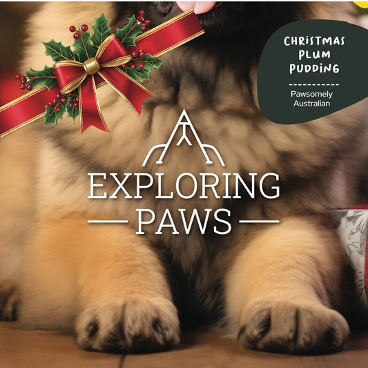 Limited-Edition Christmas Plum Pudding Doggo-Chino Cafe Cookie