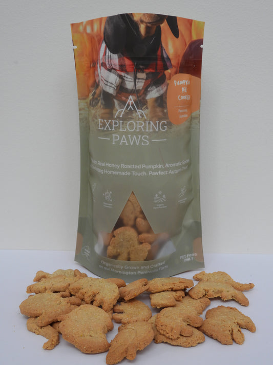 Pumpkin Pie Rustic Training Cookies