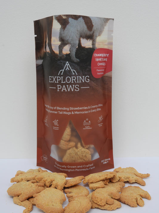 Strawberry Shortcake Rustic Training Cookies