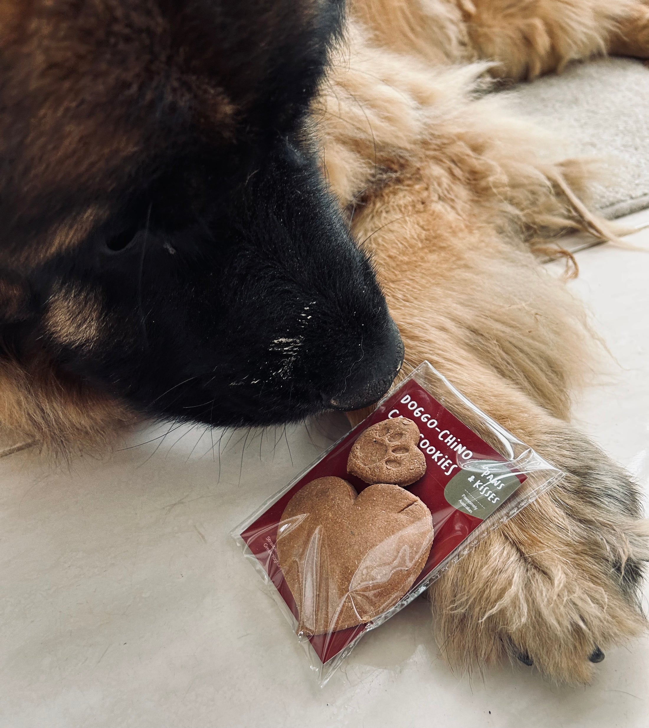 Limited Edition Paws & Kisses Doggo-Chino Cafe Cookies