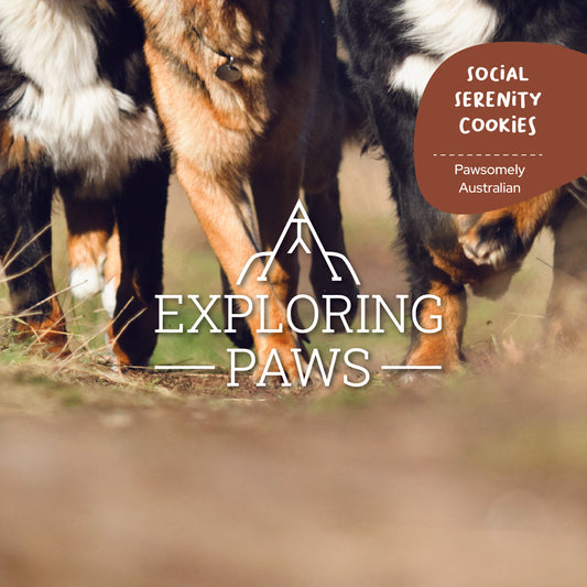 Social Serenity Tranquil Tail Treats