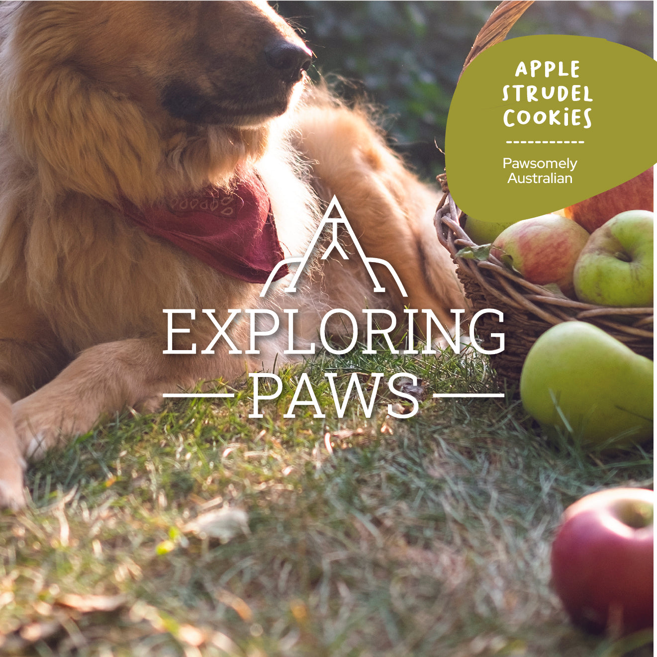 Apple Strudel Doggo-Chino Cafe Cookies