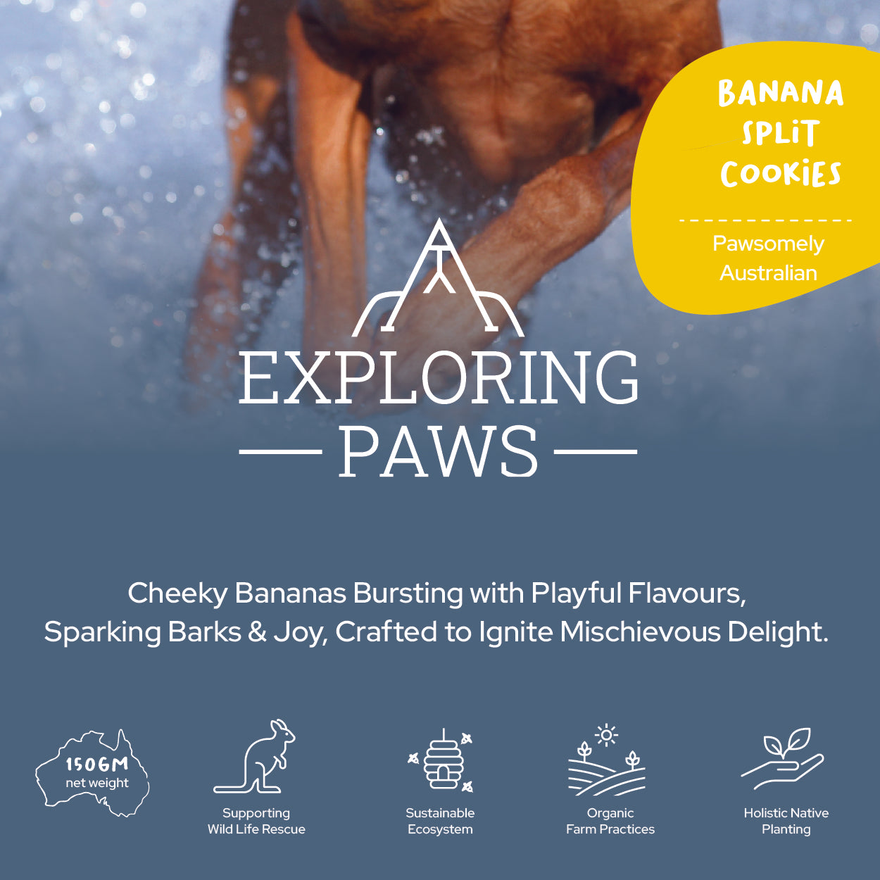 Banana Split Rustic Training Cookies