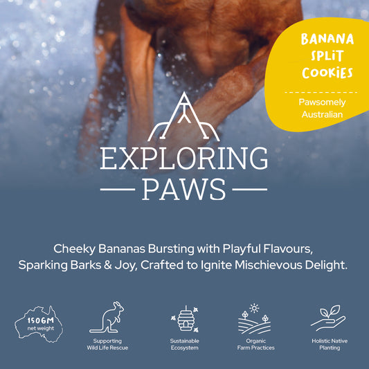 Banana Split Rustic Training Cookies