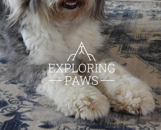 Calm & Courage Paws Pack