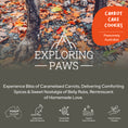 Load image into Gallery viewer, Carrot Cake Rustic Training Cookies
