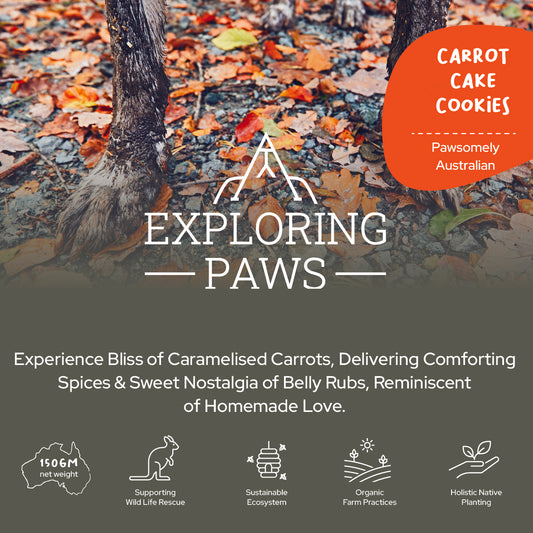 Carrot Cake Rustic Training Cookies