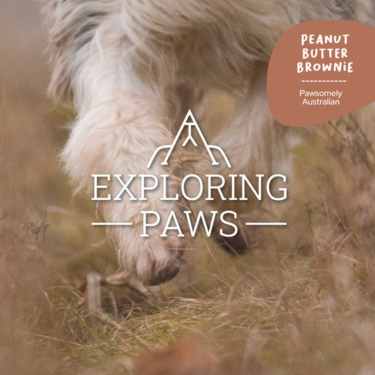 Peanut Butter Brownie Doggo-Chino Cafe Cookie