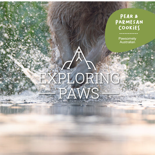 Pear & Parmesan Doggo-Chino Cafe Cookie