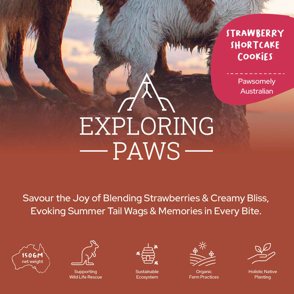 Strawberry Shortcake Rustic Training Cookies